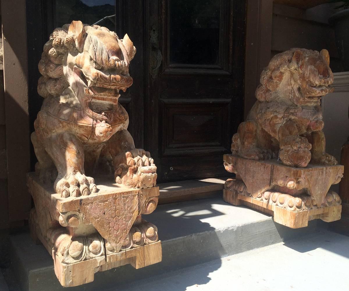 This is a great pair of Chinese foo dogs including both the male and female. The male with his front paw on the world and the female with her front foot on a baby in the traditional manner.