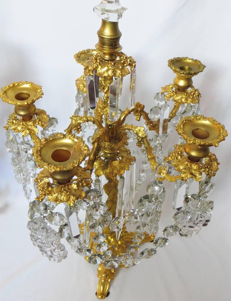 A sensational antique large gold gilded bronze, and baccarat crystal five-arm candelabra. The impressive fine workmanship of gold gilded leaf and grapes surrounded on bronze base. Hand-cut baccarat crystal swags, rosettes, long prisms, and grapes