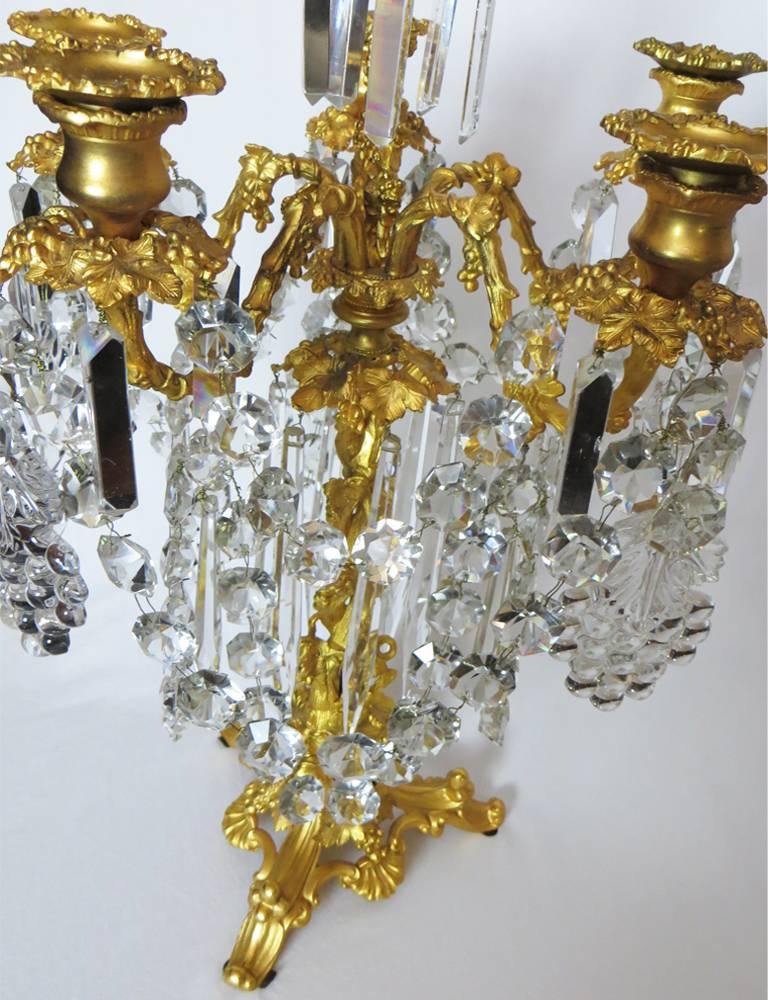 french candelabras