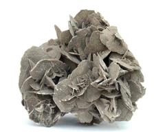 Elephant Ear Selenite Specimen