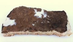 Citrine Mineral with a Cluster of Natural Forming Baroque Pearls