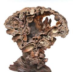 Driftwood Decorated with Fossil Agate Coral, Crystal and Fossil Shells
