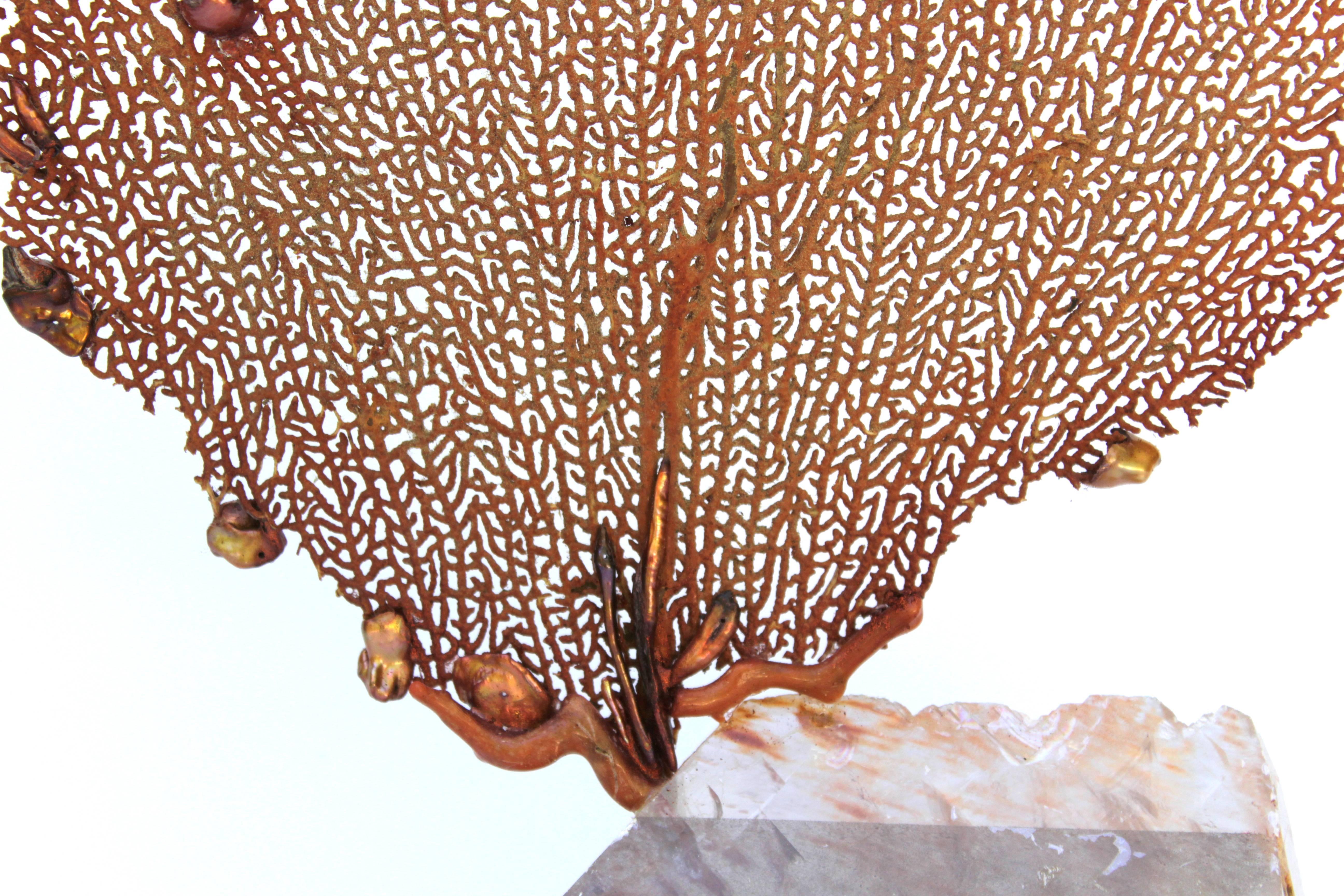 Italian Decorated Red Mediterranean Sea Fan on Calcite Mineral Base For Sale