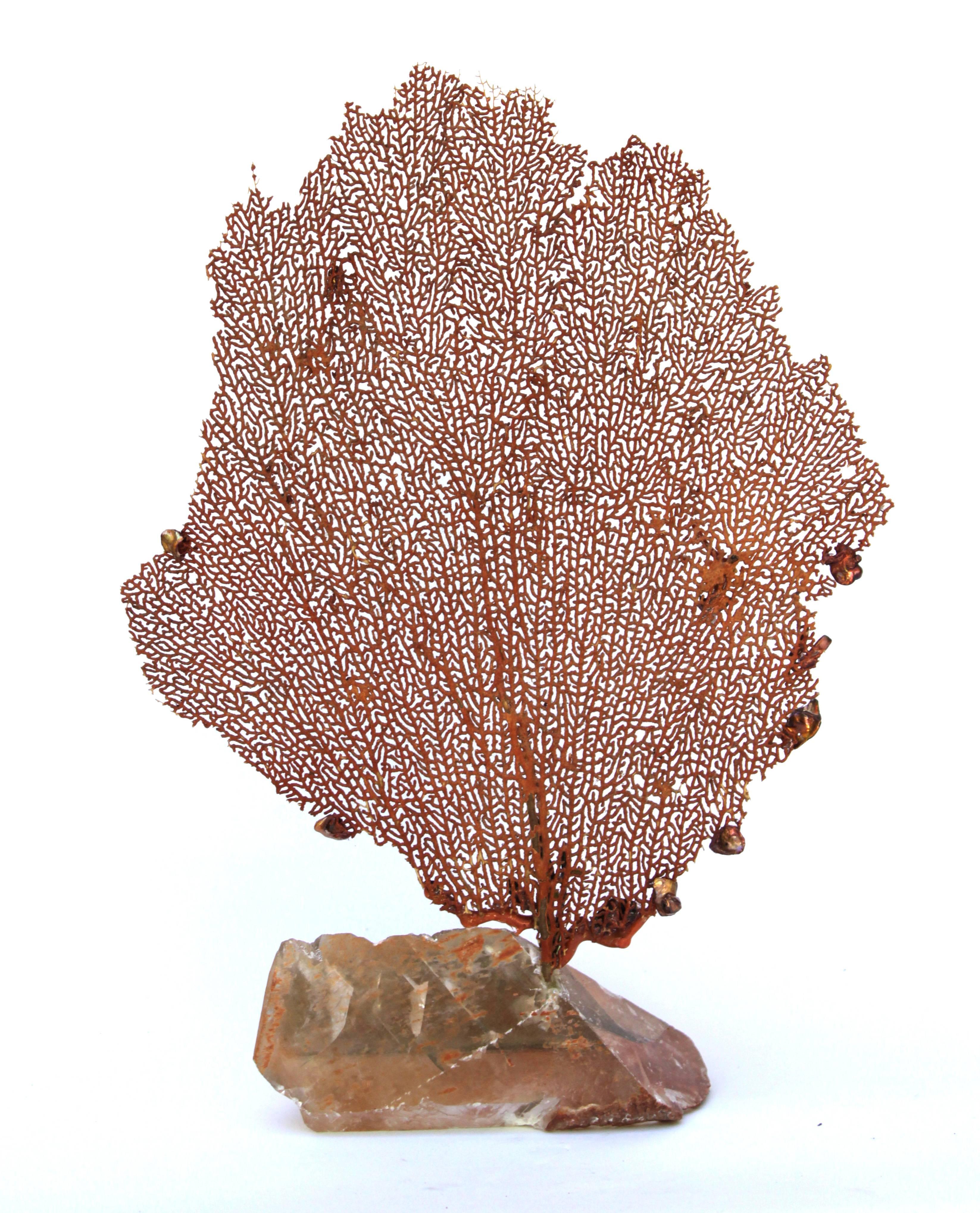 Coral Decorated Red Mediterranean Sea Fan on Calcite Mineral Base For Sale