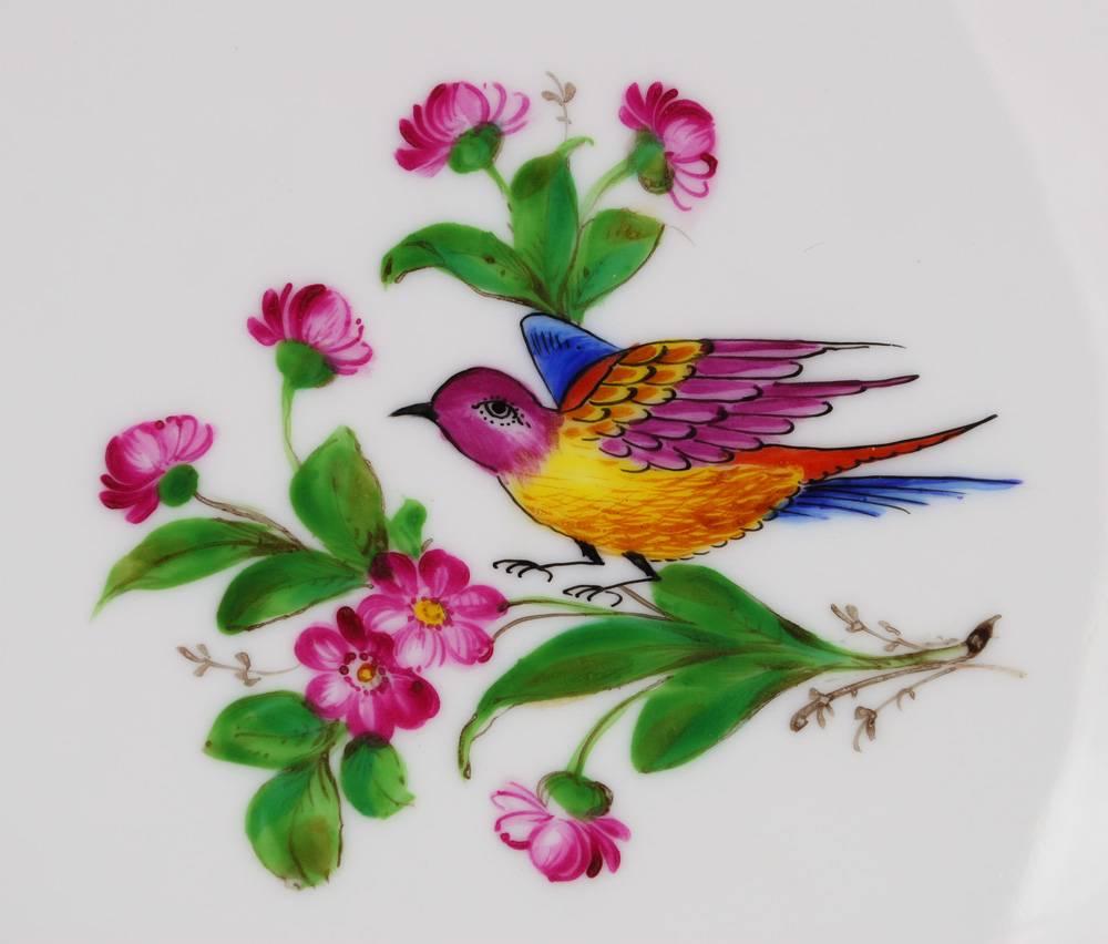 German 12 Dinner Cabinet Plates Birds Ornithological Antique Dresden A. Lamm 