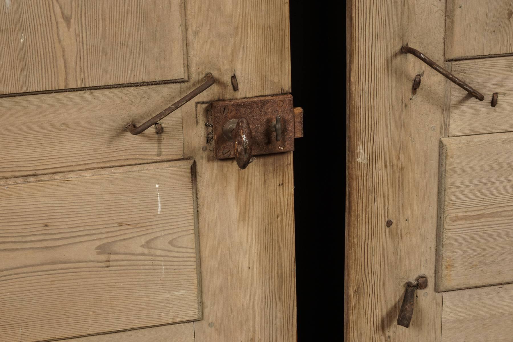 Pair of Primitive Doors from Sweden, circa 1820 1