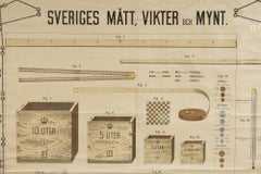 Framed Vintage Educational Chart from Sweden, Dated 1906