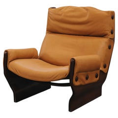 Fauteuil vintage « Osvald Borsani Canada » pour Tecno, Italie, années 1960