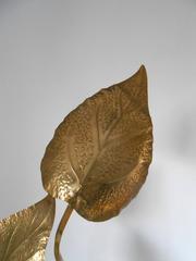 Rhubarb Leaves Floor Lamps by Tommaso Barbi