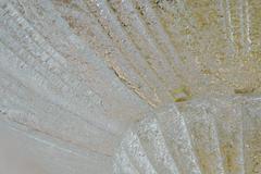 Murano Flush Mount with Graniglia Curvy Leaves by Barovier e Toso