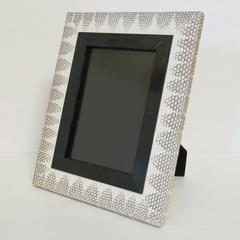 Snake Skin and Horn Photo Frame