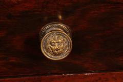 English Late Regency Rosewood Canterbury