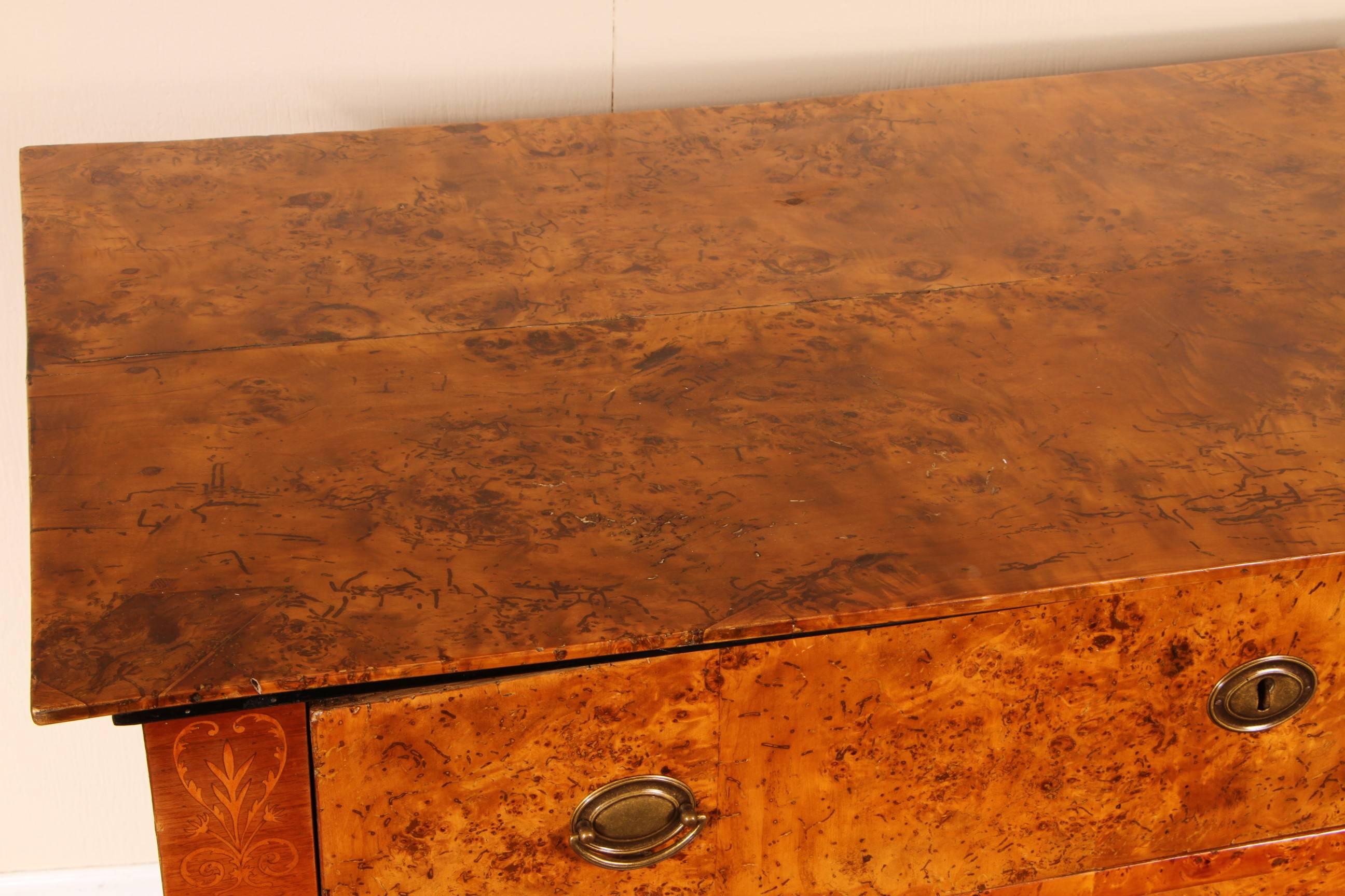 Neoclassical Fine Antique Burl Chest of Drawers For Sale