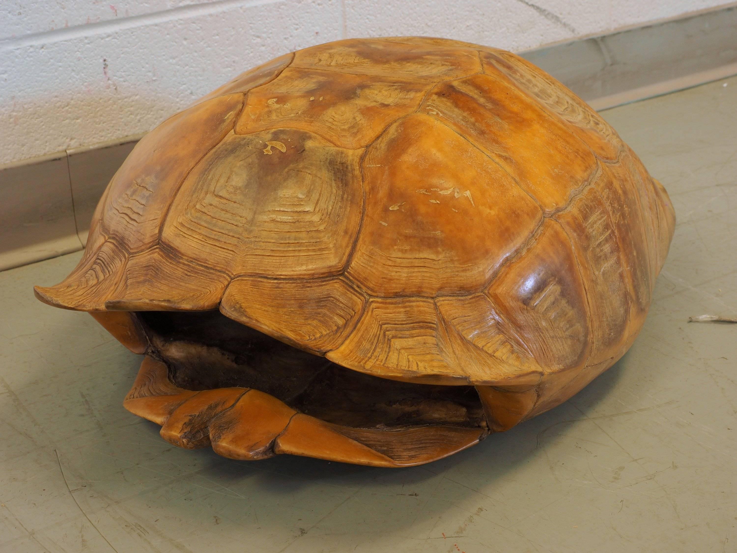 20th Century Large Natural Specimen Tortoise Shell