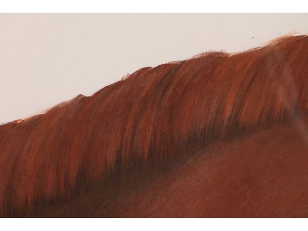 Classic realistic gouache of a bridled chestnut horse. Signed and dated, 1988 below reins in lower left. Sight: 19.25