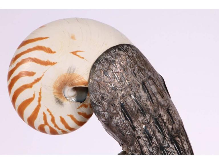Shell Form Parrot with Sterling Body and Perch at 1stDibs