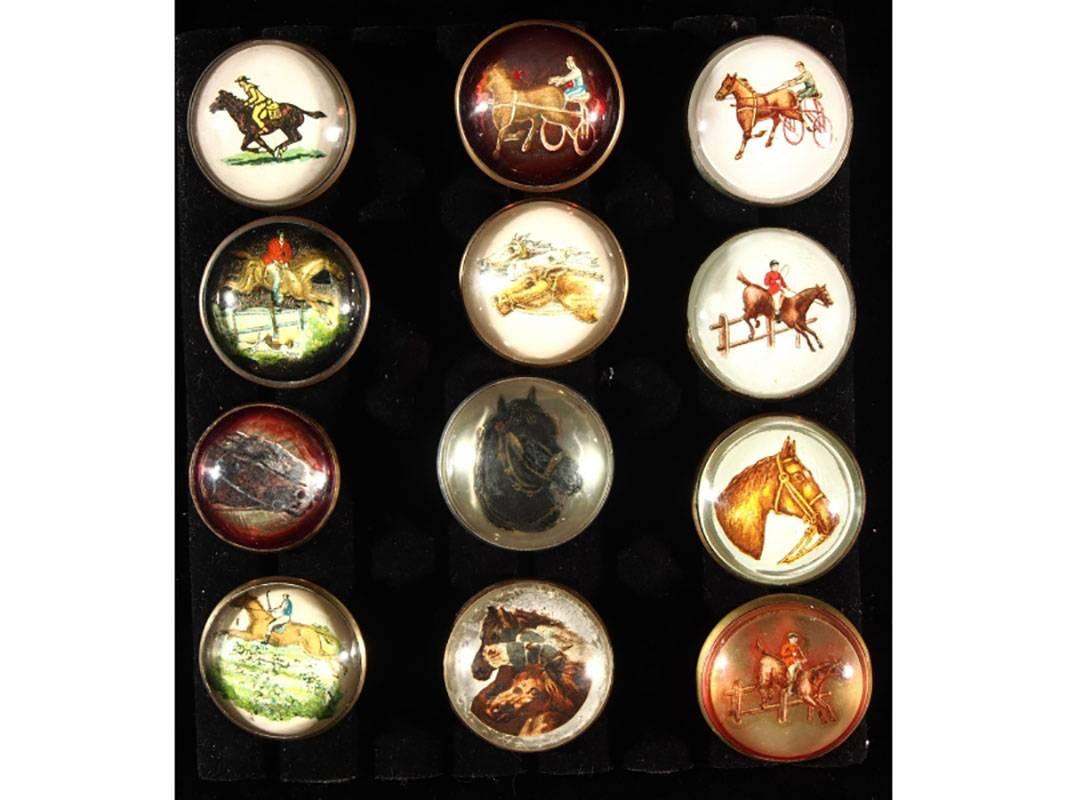 20ième siècle Impressionnante collection de 82 rosettes anglaises anciennes en forme de bride en vente