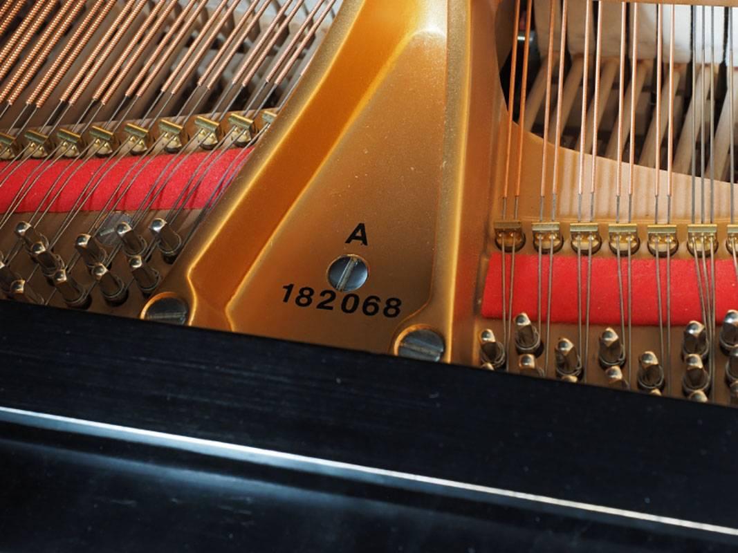 1917 Steinway Baby Grand Piano Model A 2