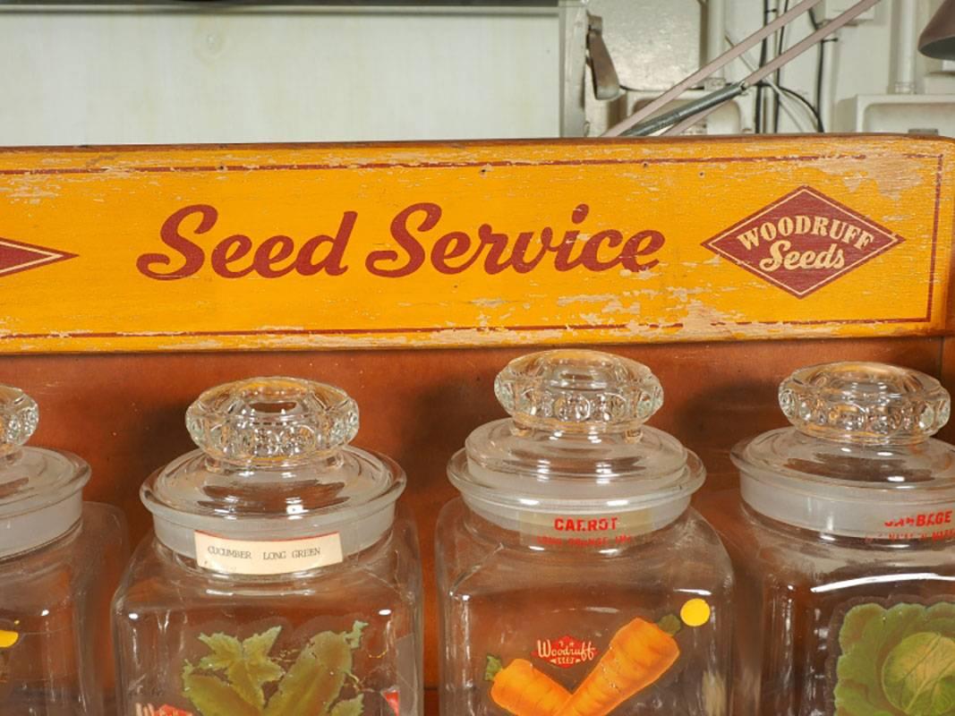 20th Century F.H. Woodruff & Sons Country Store Seed Counter