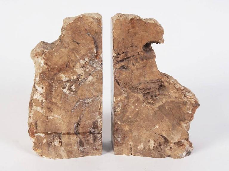 Book End Pair Of Made Of Polished Petrified Wood At 1stdibs