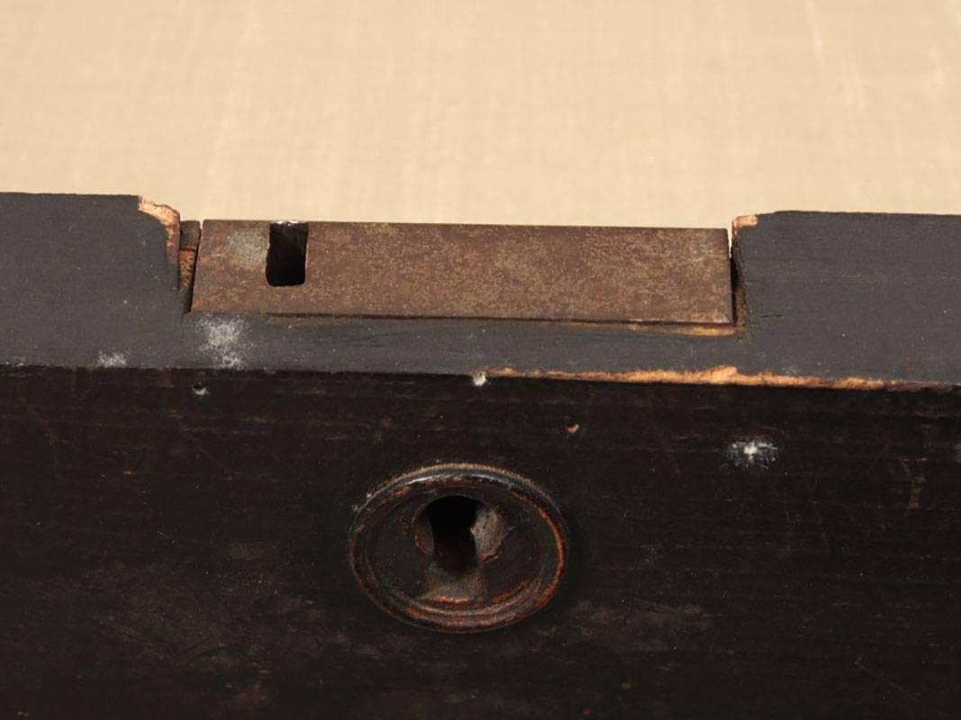 Rustic Antique Ebonized Display Case