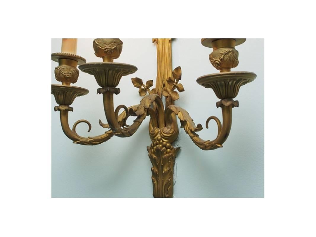 Pair of Well Cast Louis XVI Style Dore Bronze Wall Sconces In Good Condition In Bridgeport, CT