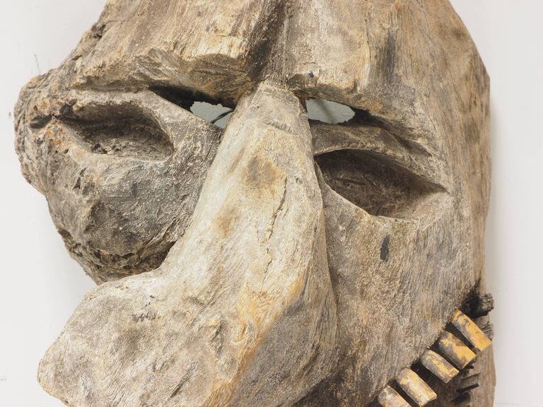 Primitive Carved Tree Fern Wood Mask For Sale at 1stdibs
