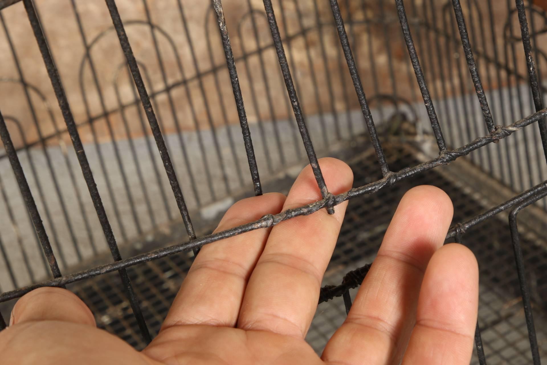 wire bird cages