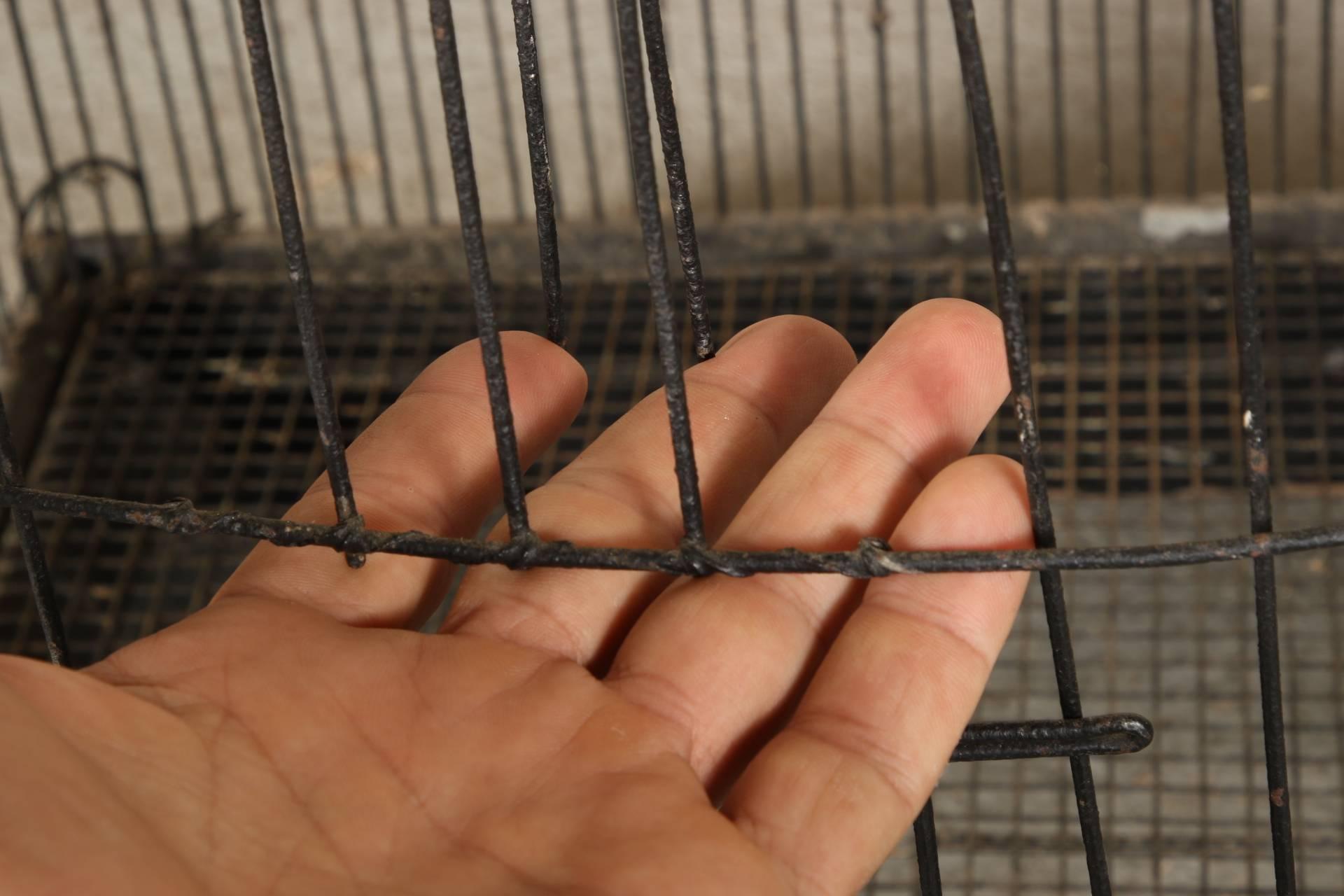 Rustic Antique Wire Bird Cage