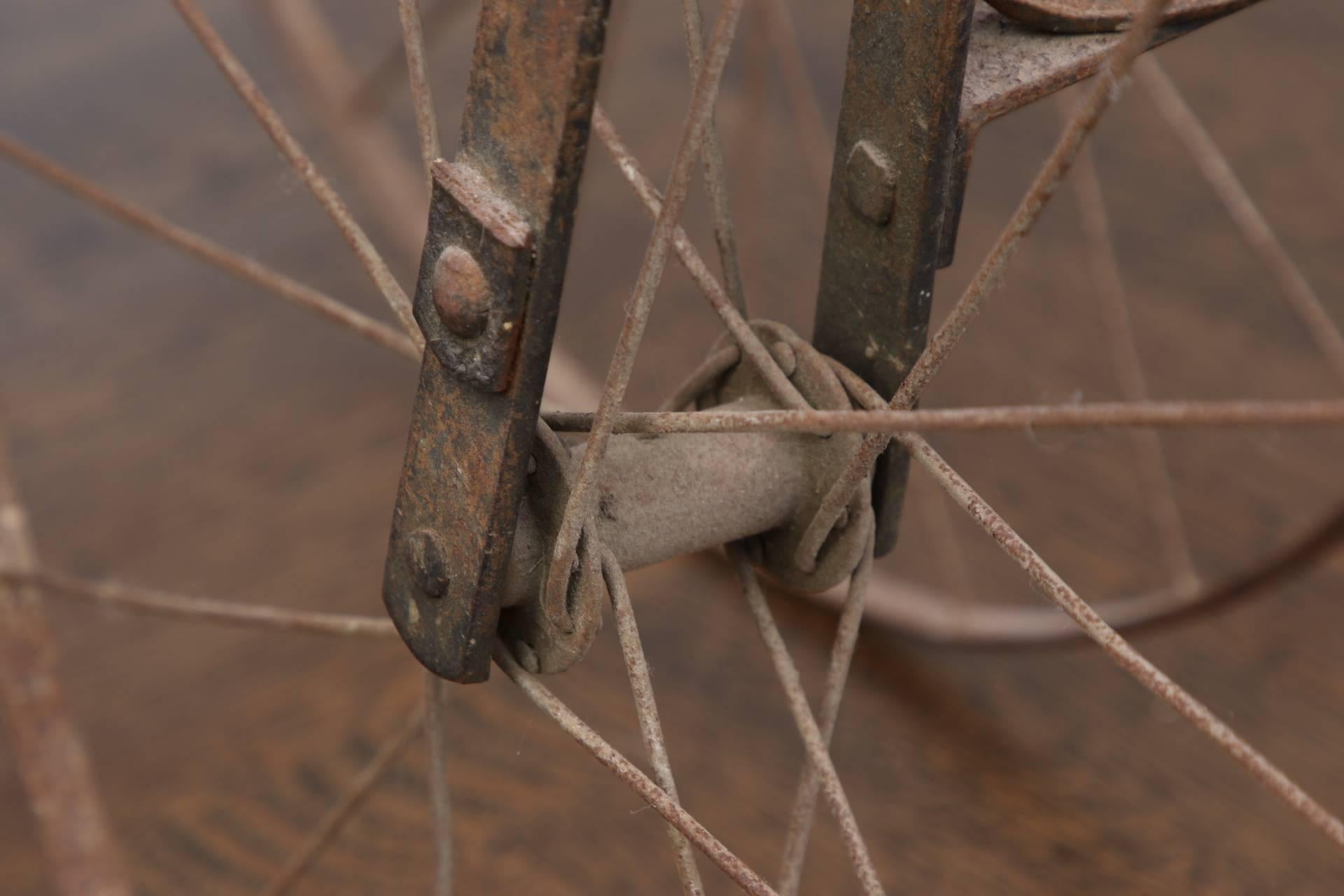 Carved and brown painted wood horse with iron head, leather bridle and reins mounted on a wood and iron three-wheeled frame. Pulley system inside head. Loss to one pedal and the ends of the handle bars. 
Condition: rust overall, major losses to the