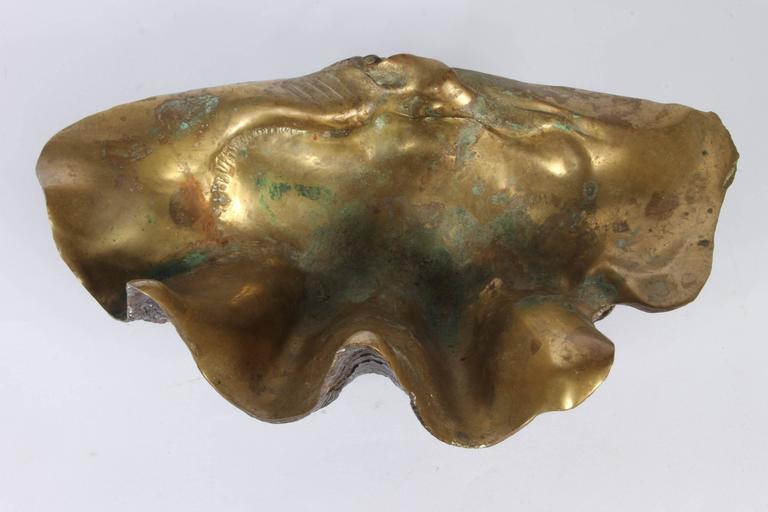 MidCentury Bronze Clamshell Cast from Nature at 1stDibs