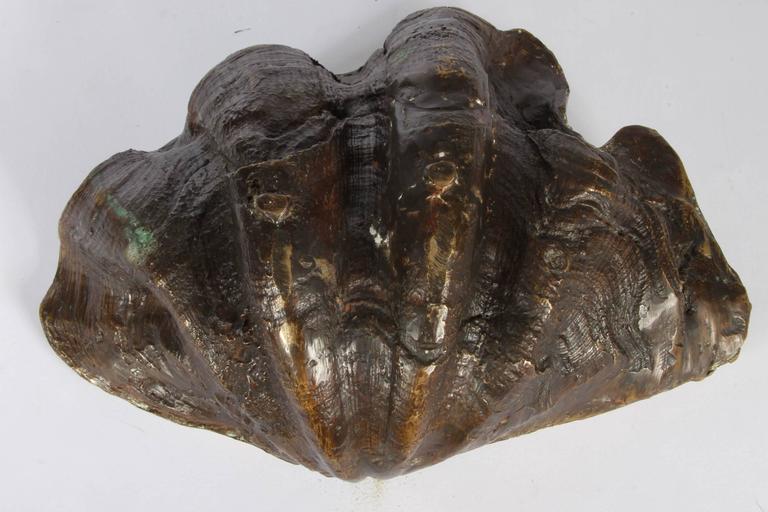 MidCentury Bronze Clamshell Cast from Nature at 1stDibs