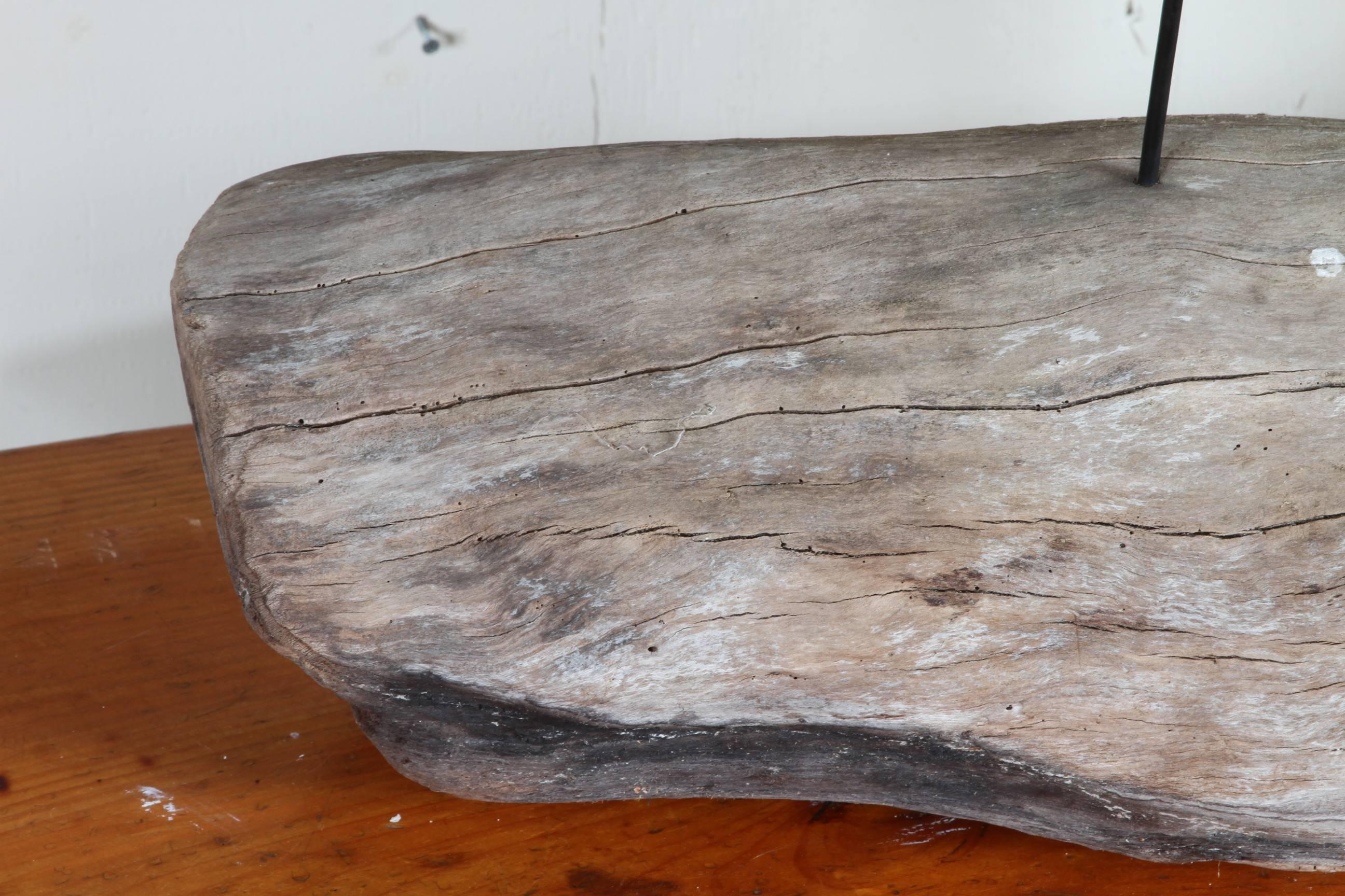 driftwood log for sale