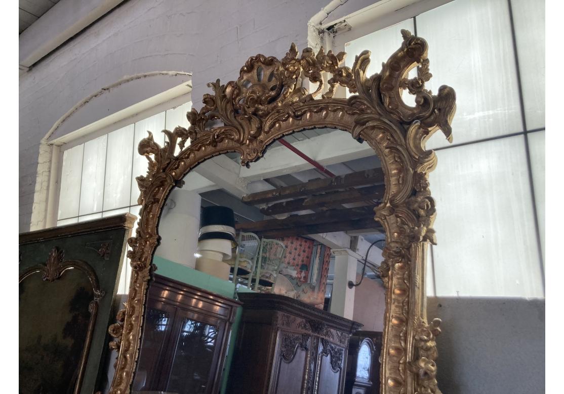 Sculpté à la main Miroir massif Louis XV sculpté et doré, Prov. Domaine de Karl Lagerfeld en vente