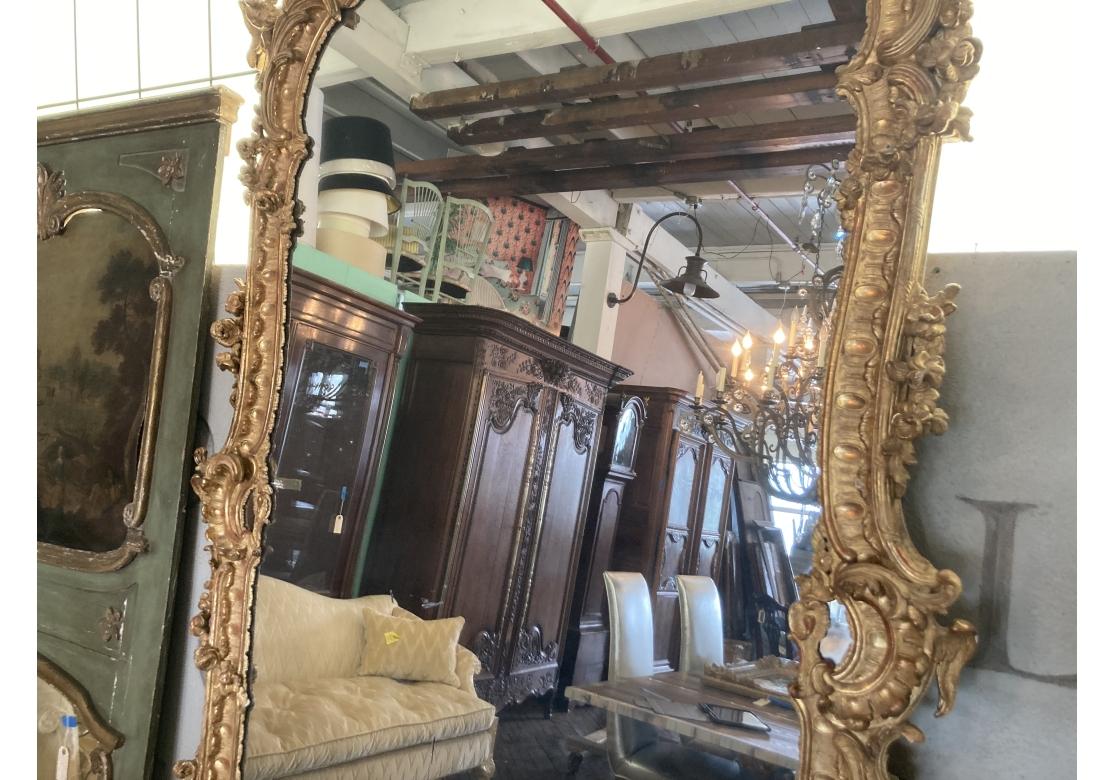 Miroir massif Louis XV sculpté et doré, Prov. Domaine de Karl Lagerfeld en vente 1