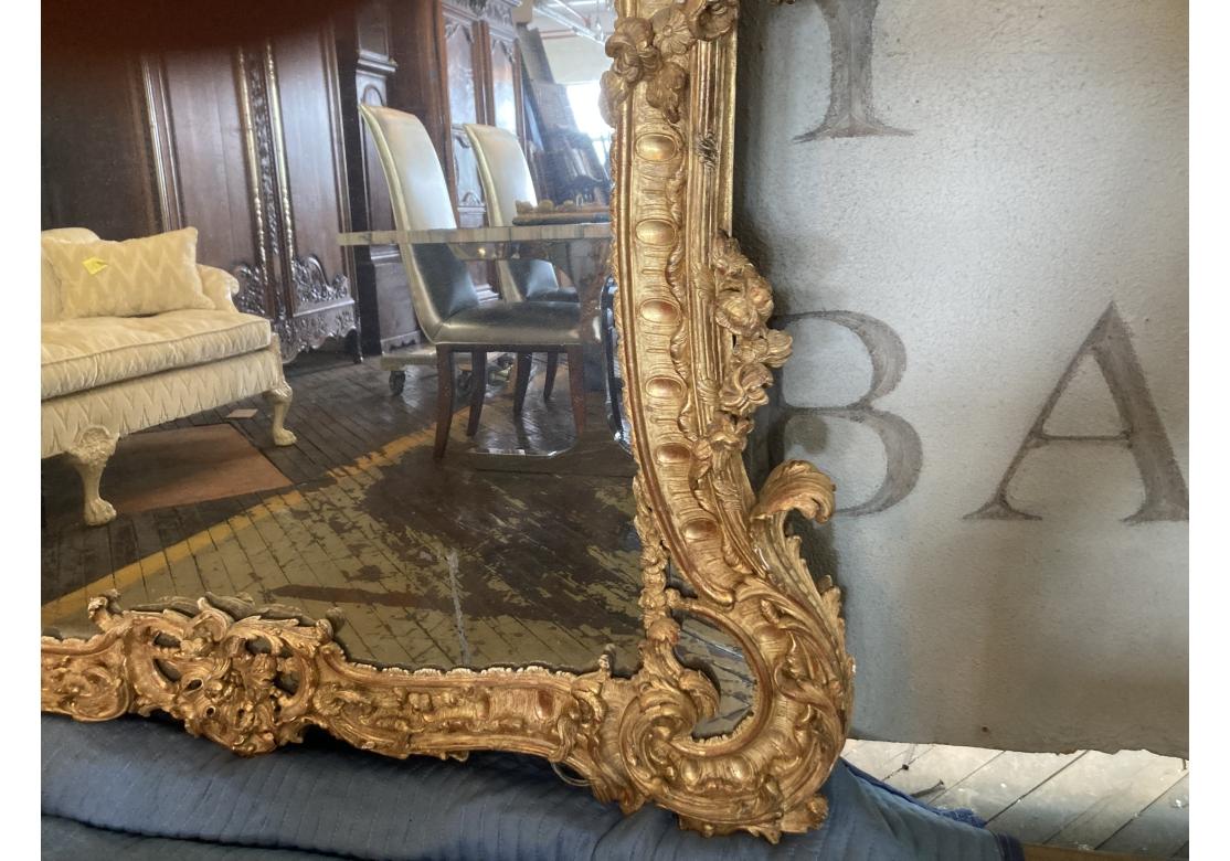 Miroir massif Louis XV sculpté et doré, Prov. Domaine de Karl Lagerfeld en vente 2