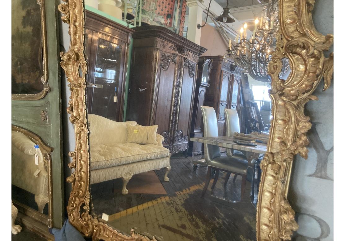 Miroir massif Louis XV sculpté et doré, Prov. Domaine de Karl Lagerfeld État moyen - En vente à Bridgeport, CT