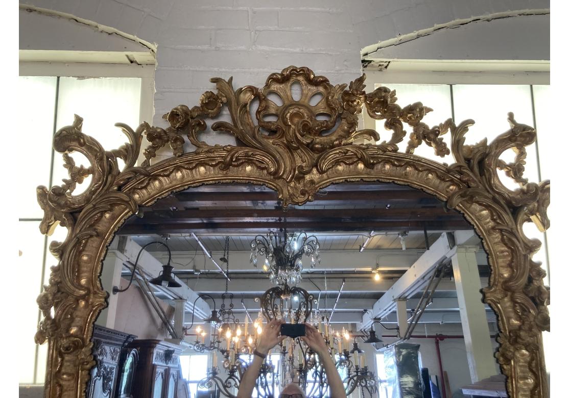 Miroir massif Louis XV sculpté et doré, Prov. Domaine de Karl Lagerfeld en vente 3