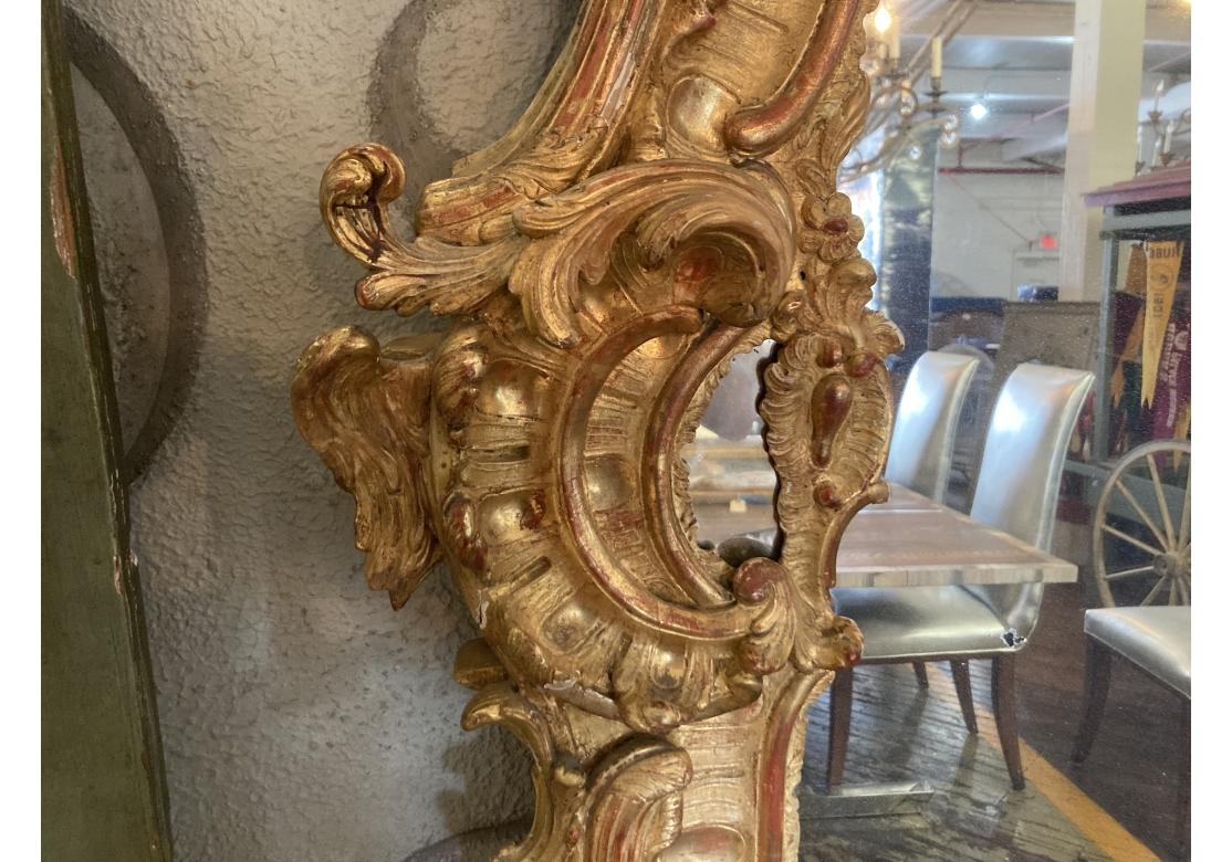 Miroir massif Louis XV sculpté et doré, Prov. Domaine de Karl Lagerfeld en vente 7