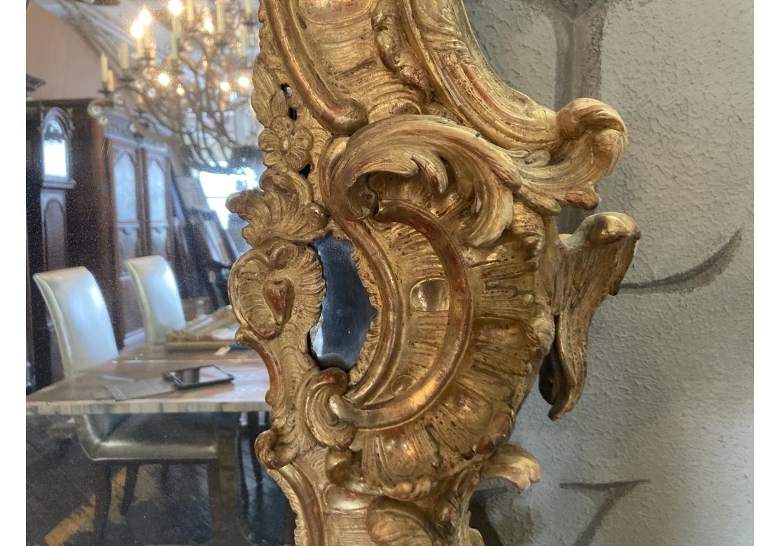 Miroir massif Louis XV sculpté et doré, Prov. Domaine de Karl Lagerfeld en vente 8