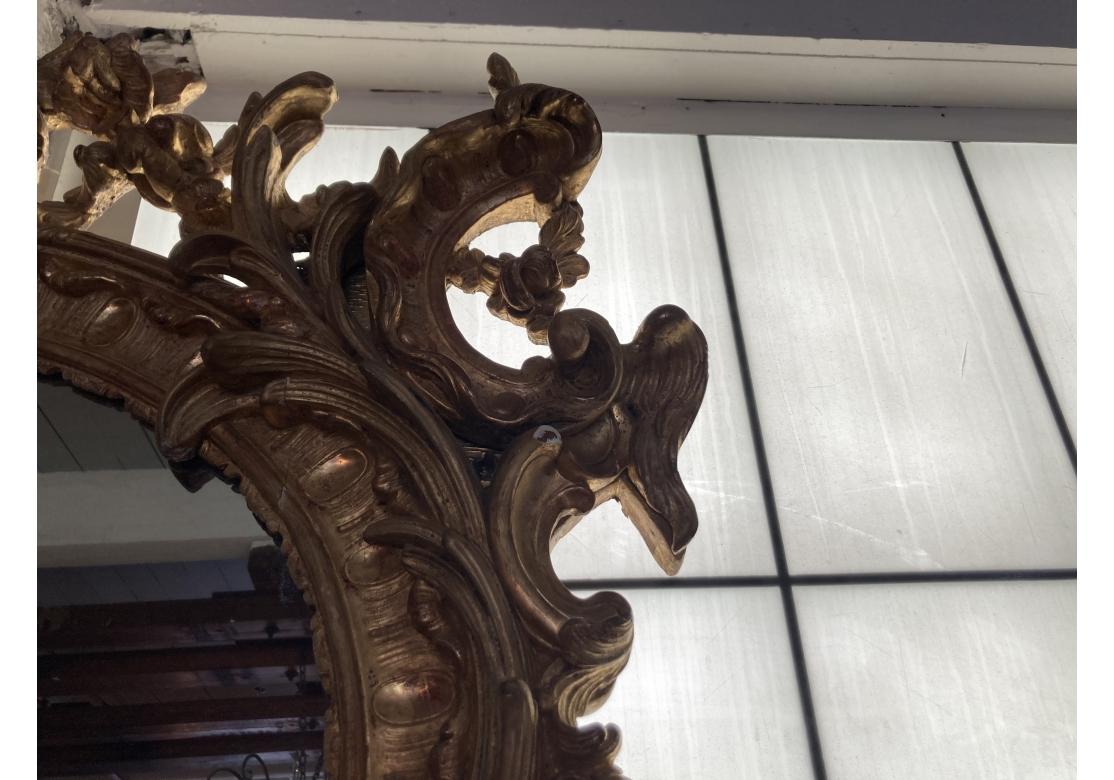 Miroir massif Louis XV sculpté et doré, Prov. Domaine de Karl Lagerfeld en vente 10