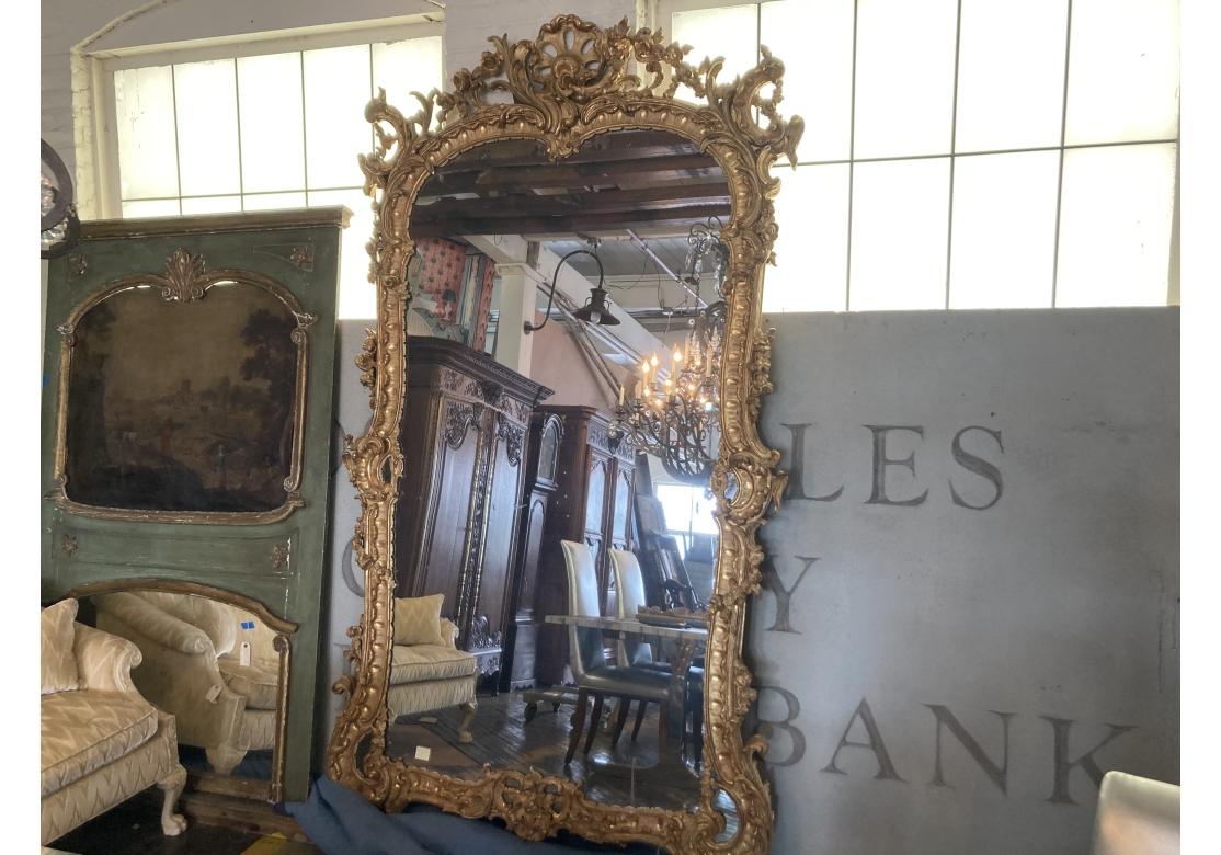 Miroir massif Louis XV sculpté et doré, Prov. Domaine de Karl Lagerfeld en vente 11