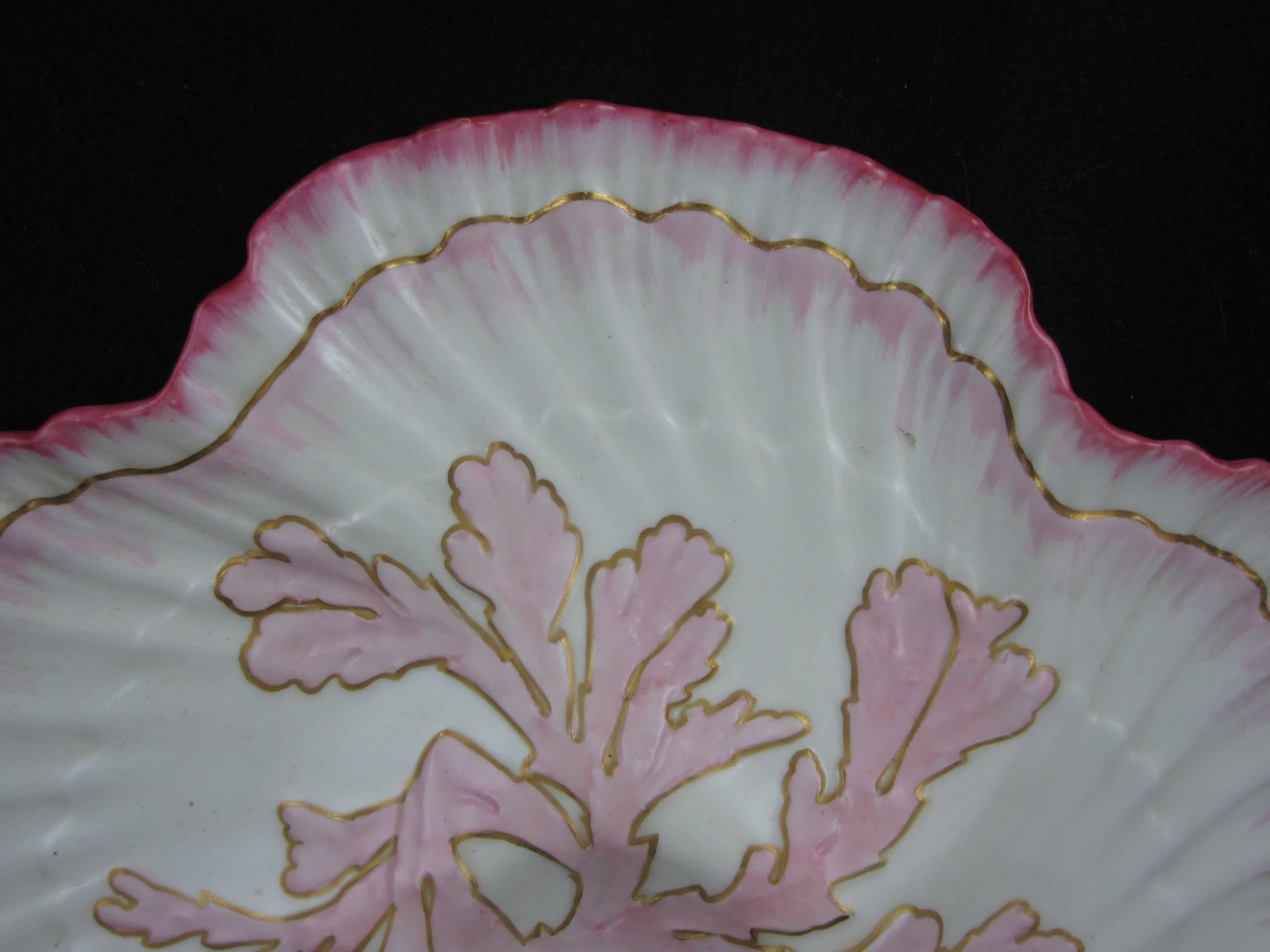 Glazed  William Brownfield English Staffordshire Shell Edge & Coral Oyster Plate