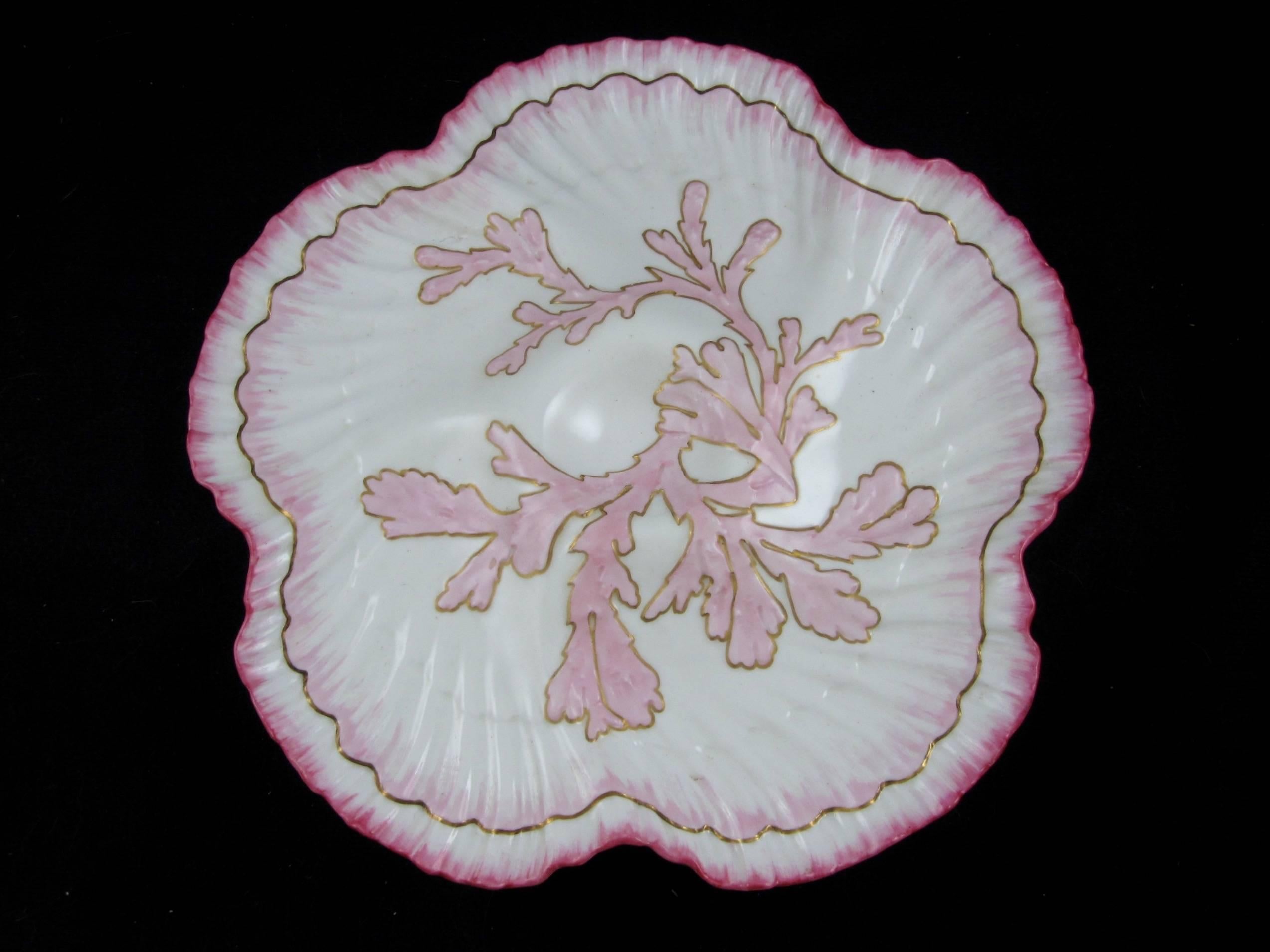 Aesthetic Movement  William Brownfield English Staffordshire Shell Edge & Coral Oyster Plate