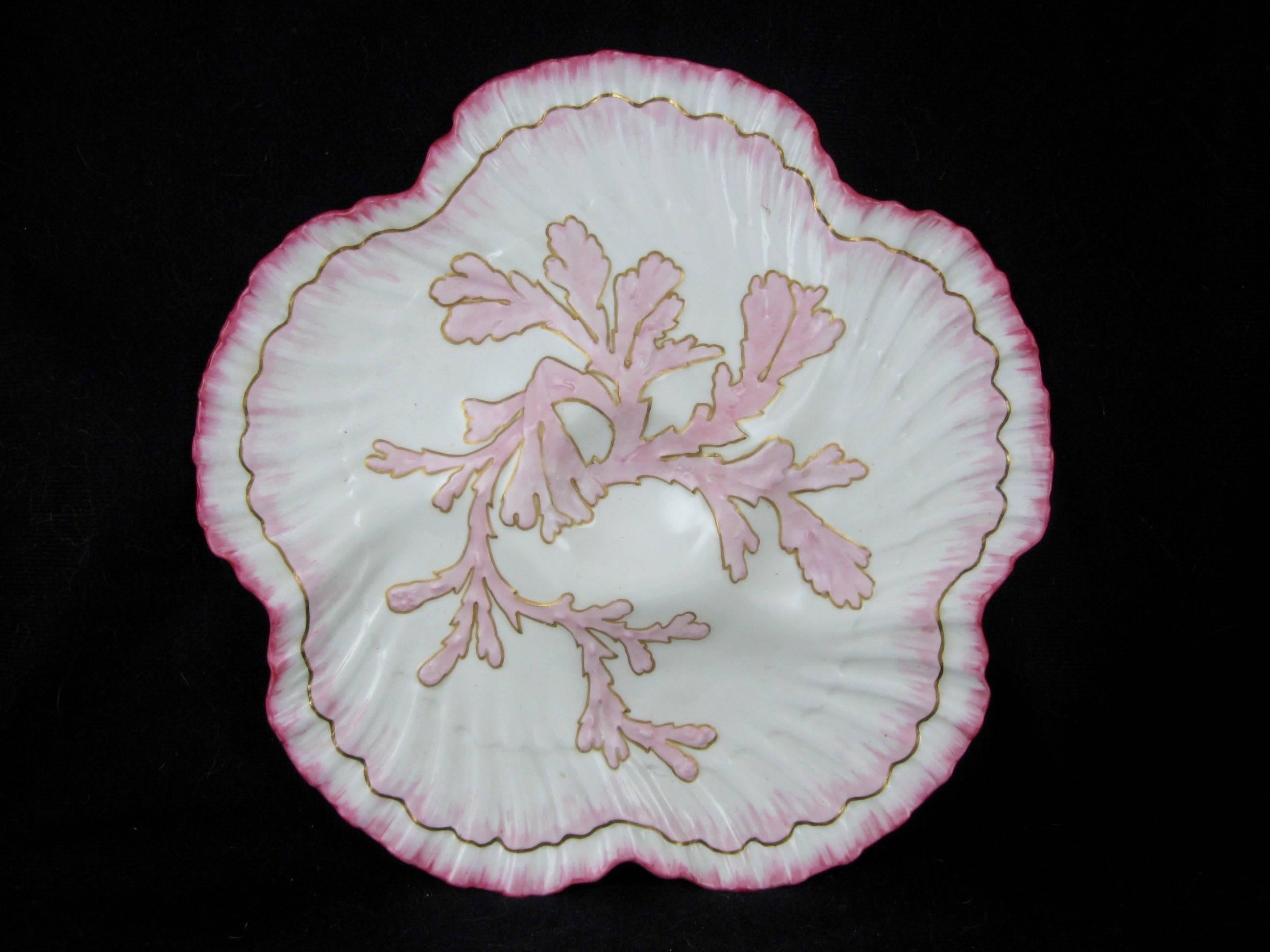 Ceramic  William Brownfield English Staffordshire Shell Edge & Coral Oyster Plate
