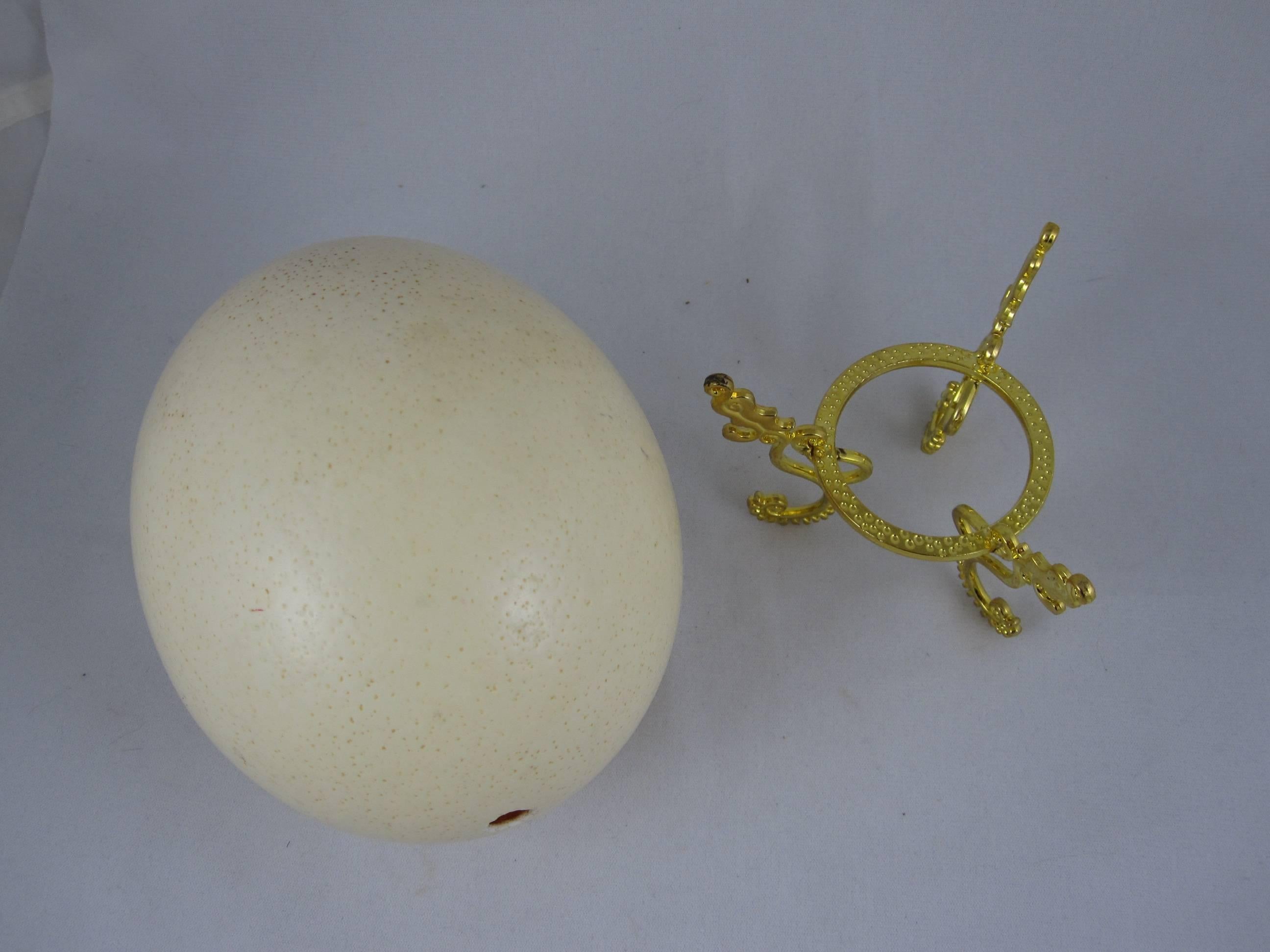 20th Century Large Cabinet of Curiosity Ostrich Egg on a Gold Stand