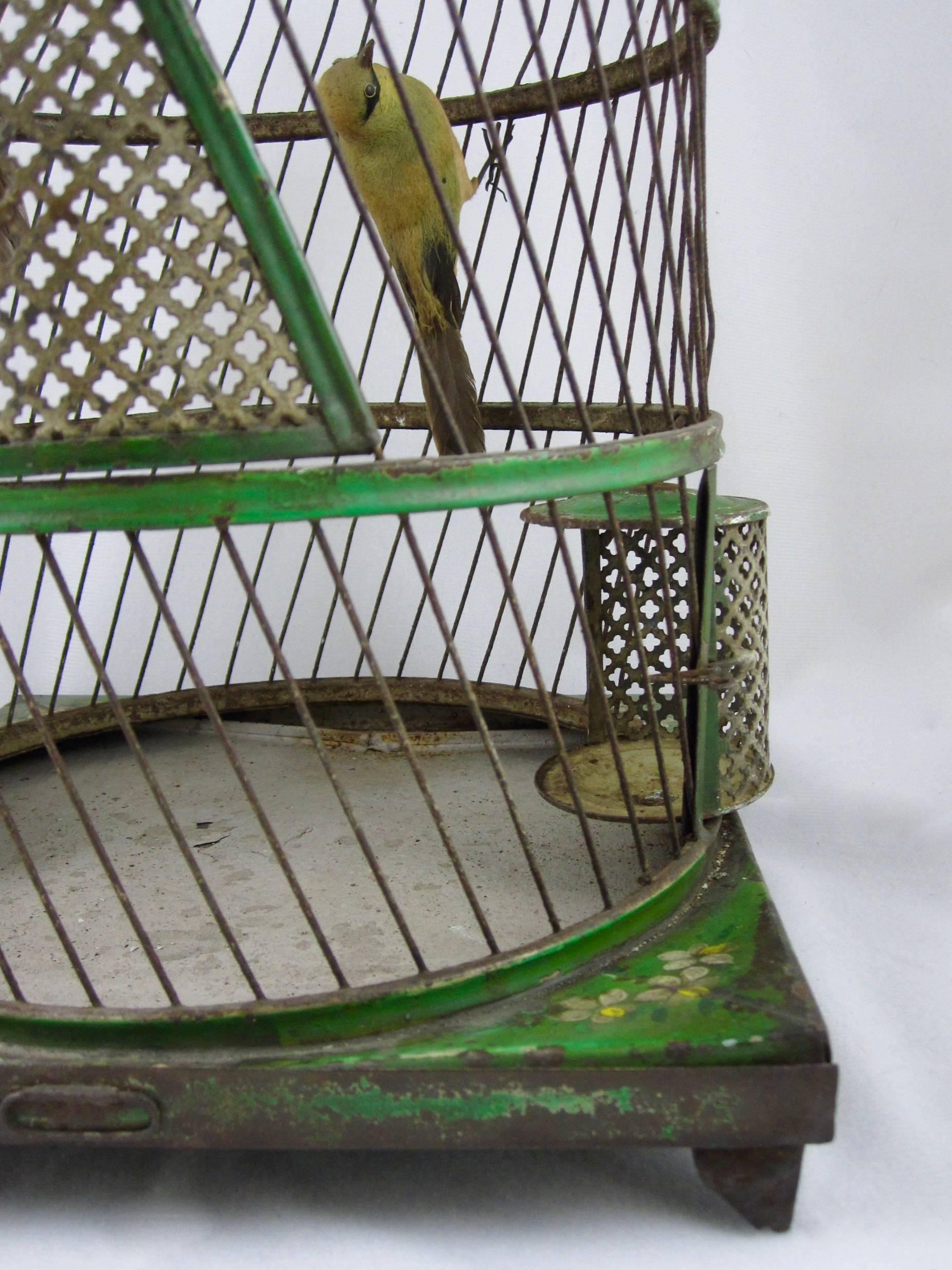 19th Century French Belle Époque Tole Peinte Bird Cage and Two Feathered Birds