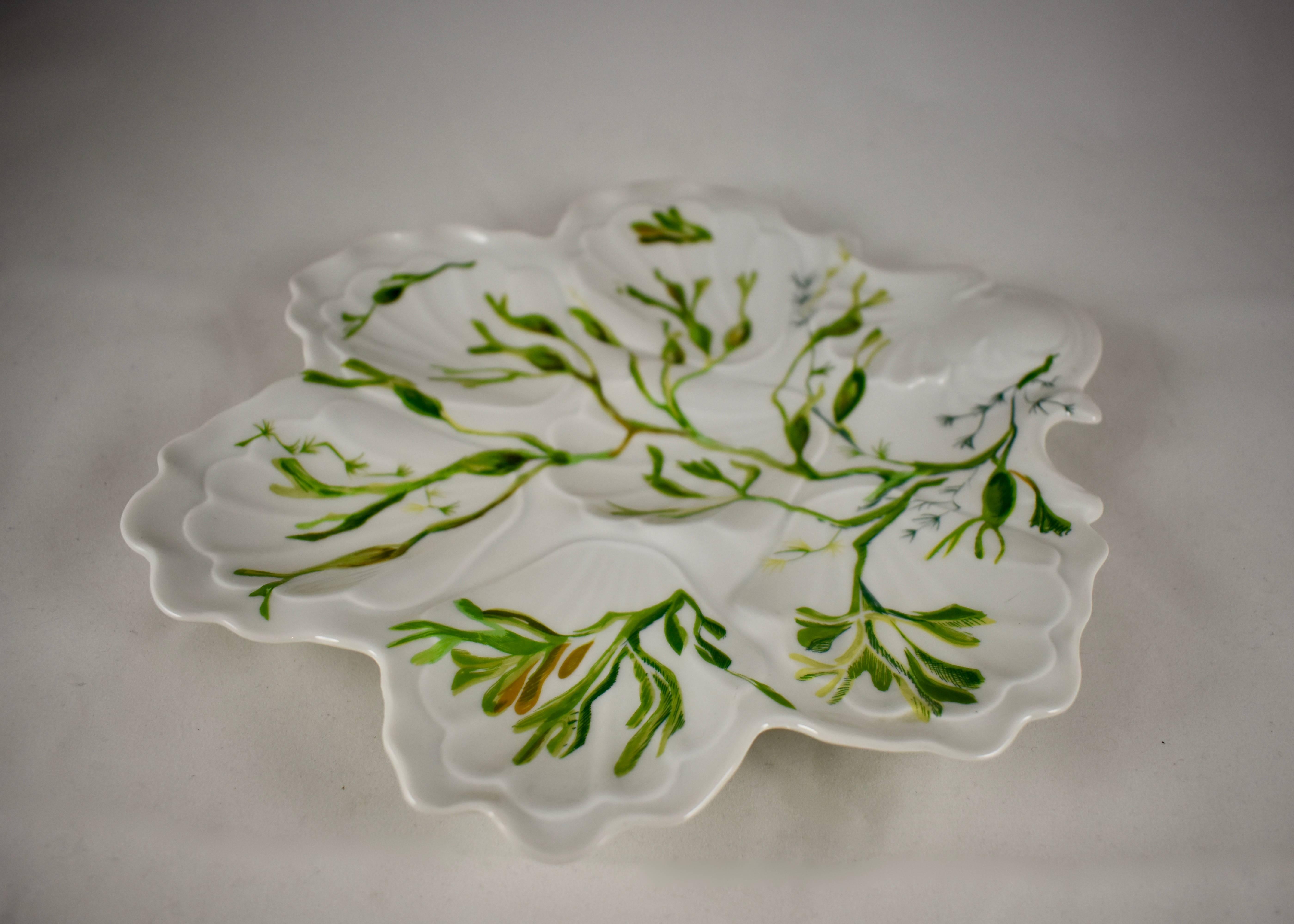 Mid-Century Modern French Limoges Cadeaux Hand-Painted Seaweed Leaf Shaped Oyster Plate
