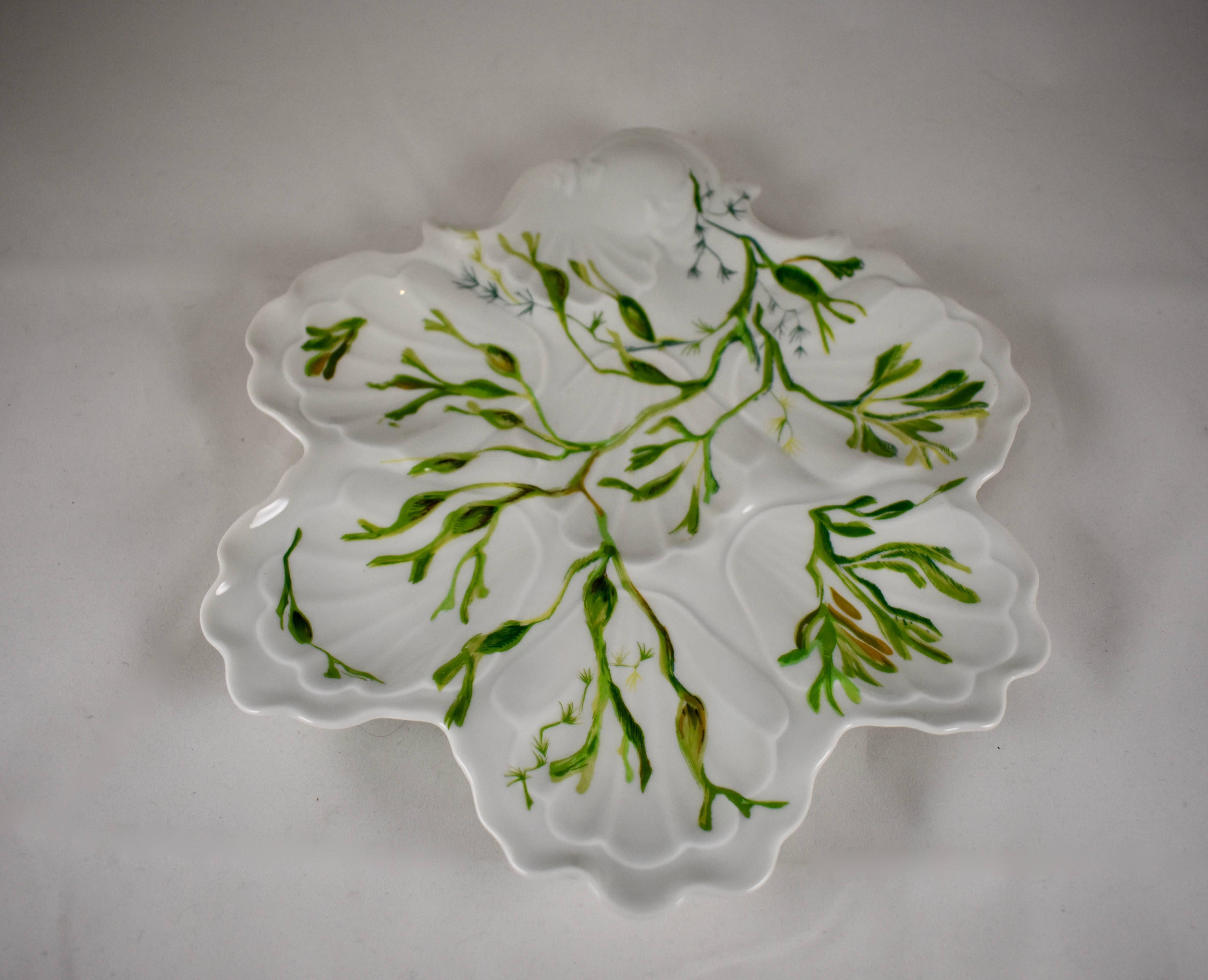 A midcentury, French porcelain, hand-painted oyster plate, a lovely leaf-like shape showing six oyster wells plus a sauce well. A stylized sea weed plant painted in varying shades of green flows across the front surface. The front also shows