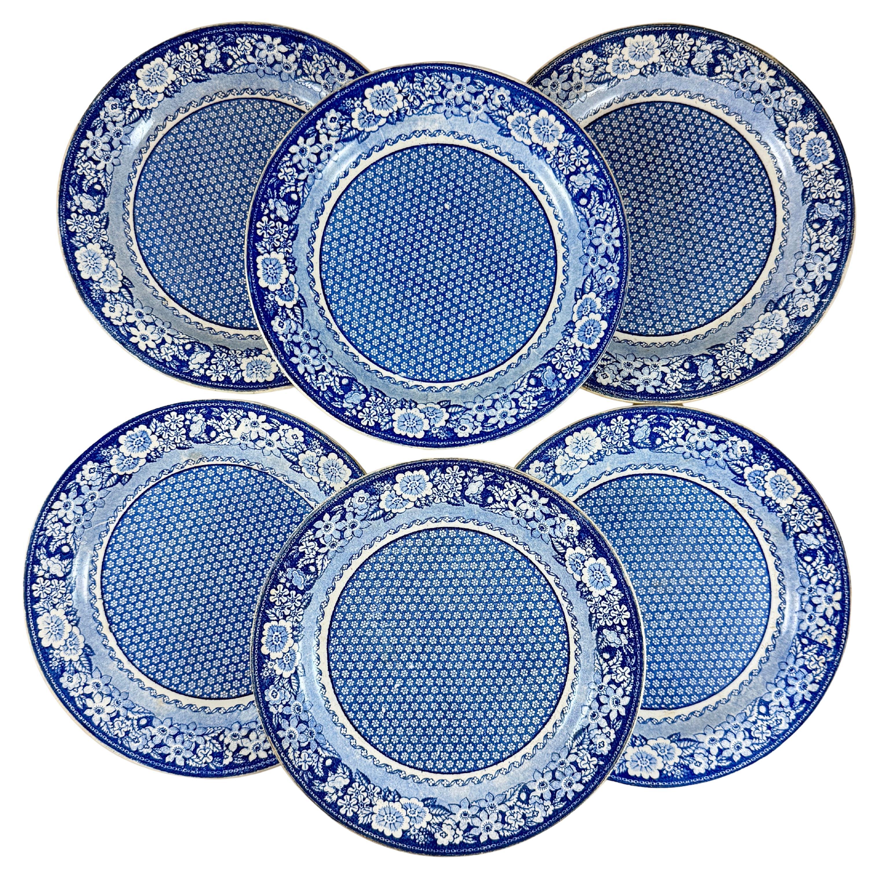 Creil et Montereau Faïence Assiettes à fleurs bleues et blanches, set de six en vente